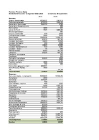 rapport financier comparatif 2015-2016